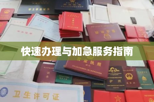 阳曲快速办理与加急服务指南