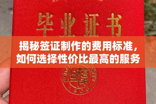 阳曲揭秘签证制作的费用标准，如何选择性价比最高的服务？