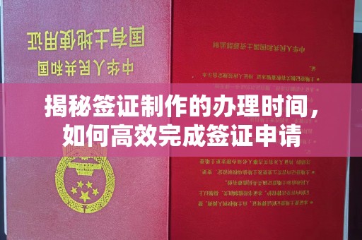 阳曲揭秘签证制作的办理时间，如何高效完成签证申请