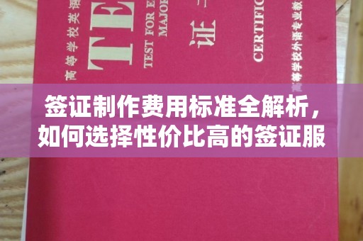 阳曲签证制作费用标准全解析，如何选择性价比高的签证服务？