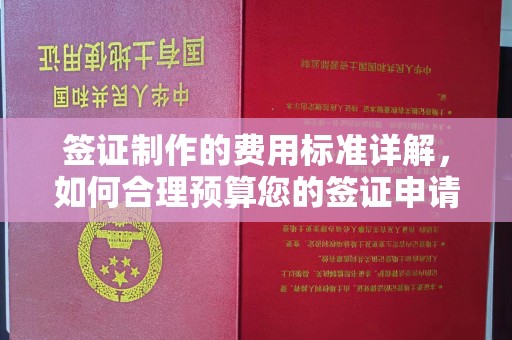阳曲签证制作的费用标准详解，如何合理预算您的签证申请成本